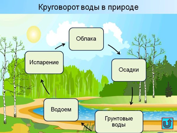 Нарисовать круговорот воды в природе