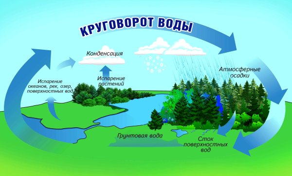 Круговорот воды в природе 3 класс окружающий мир