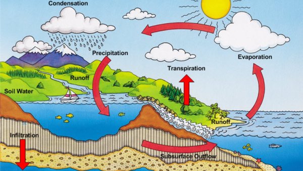 Схема круговорота воды в природе для дошкольников