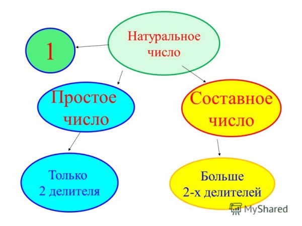 Простые и составные натуральные числа