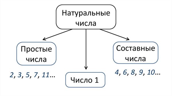Простые и составные натуральные числа