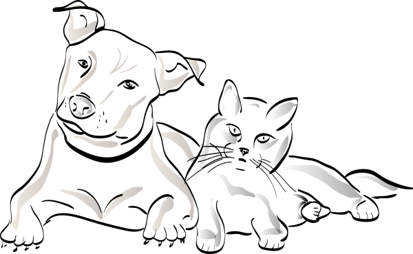 Кошки и собаки. Раскраска