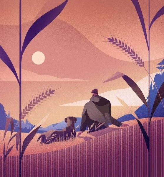 Задания по растровой графике