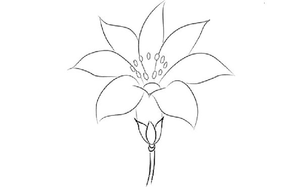 Аксаков Аленький цветочек раскраска