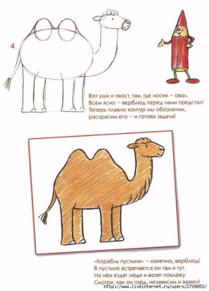 Поэтапное рисование верблюда для дошкольников