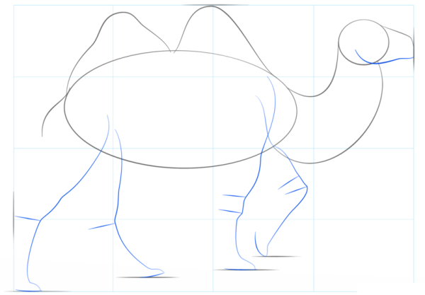 Раскраска верблюд для детей 3-4 лет