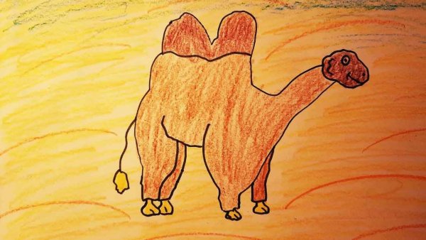 Одногорбый верблюд контур