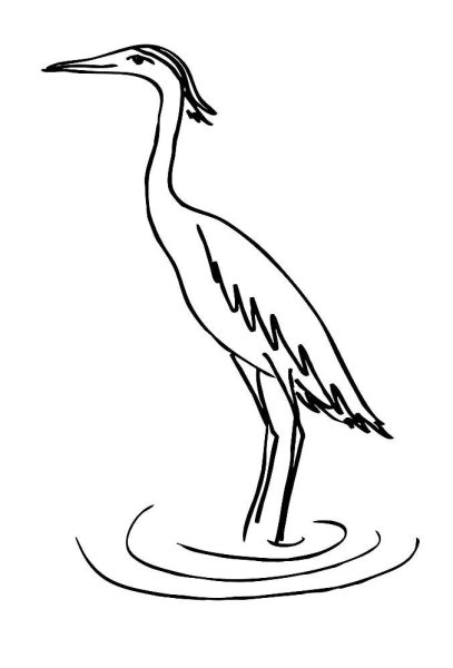 Рисунок Цапли легко
