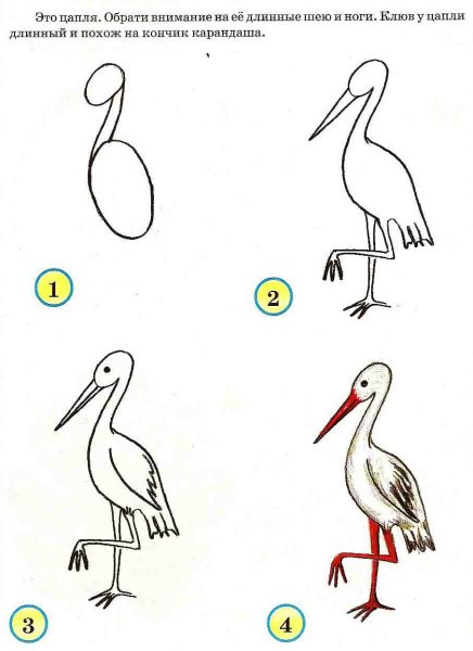 Аист рисунок для детей карандашом