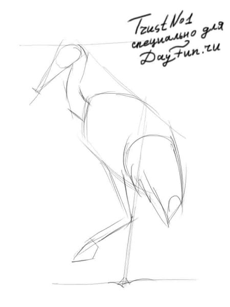 Цапля рисунок карандашом легко