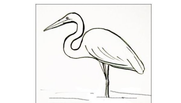 Поэтапное рисование Цапли для детей