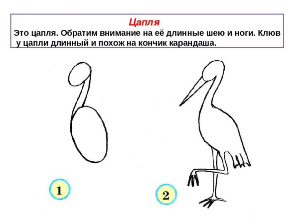 Журавли рисунок для детей легкий