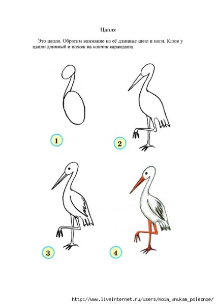 Поэтапное рисование аиста для детей
