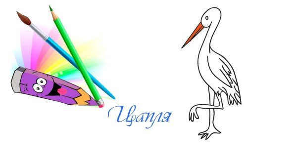 Поэтапное рисование аиста