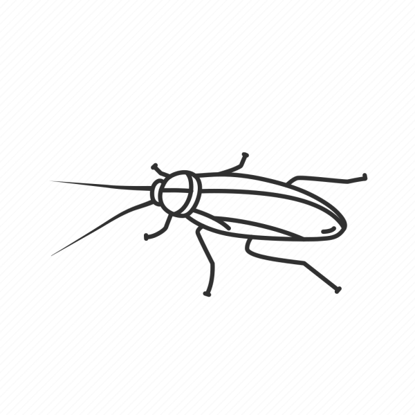 Таракан трафарет