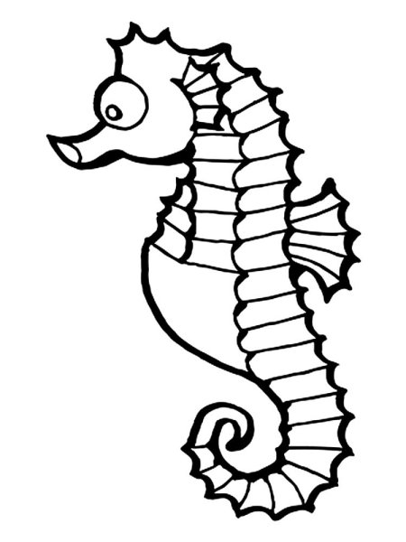 Морской конёк тряпичник раскраска