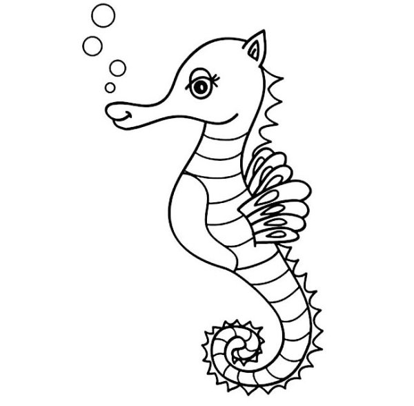 Морской конек раскраска