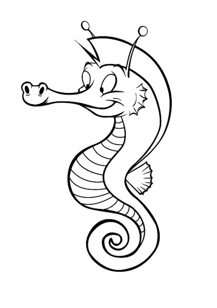 Раскраски морской конек для 6 лет