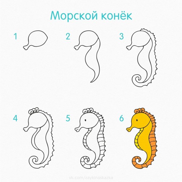 Поэтапное рисование морских обитателей для детей