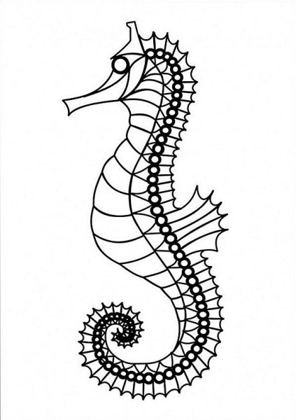 Морской конек контур