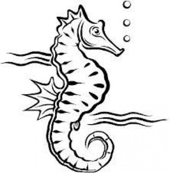 Морской конек трафарет