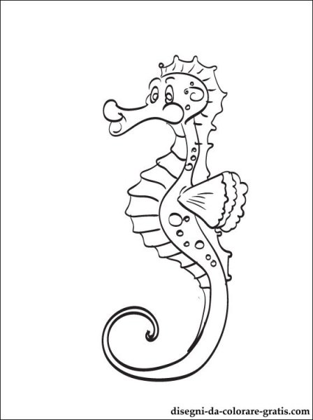 Морской конек печать