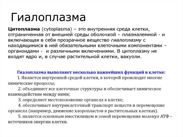 Цитоскелет клетки органоид