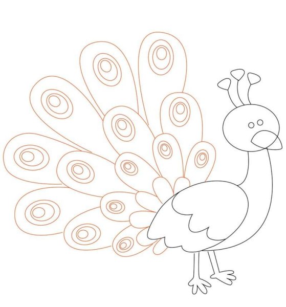 Рисунок павлина карандашом