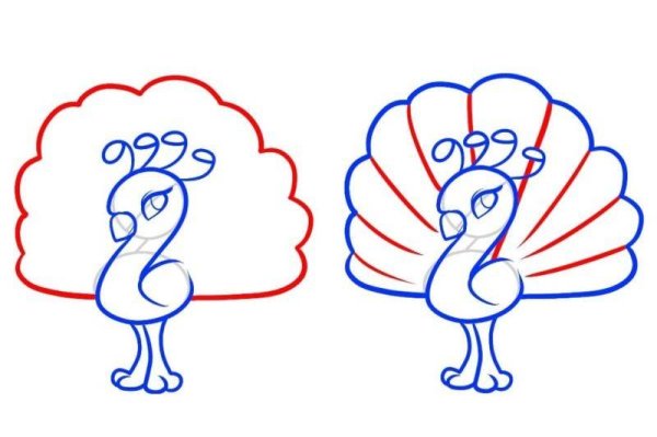 Схема рисования павлина для детей