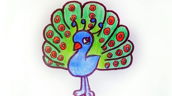 Павлин раскраска для детей 2 лет