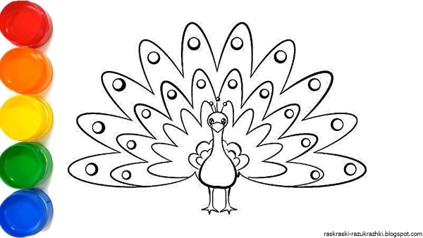 Павлин поэтапное рисование для детей