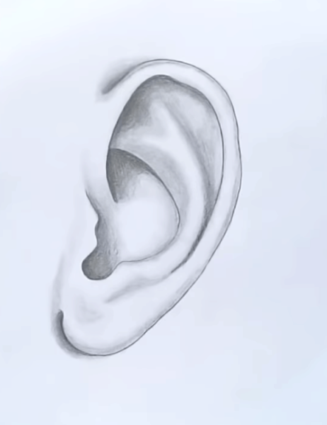 Ухо простым карандашом