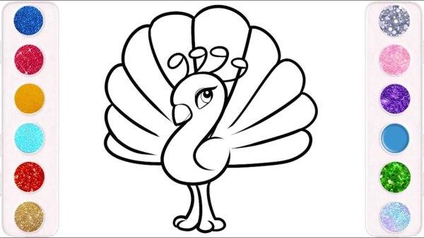 Павлин схема рисования