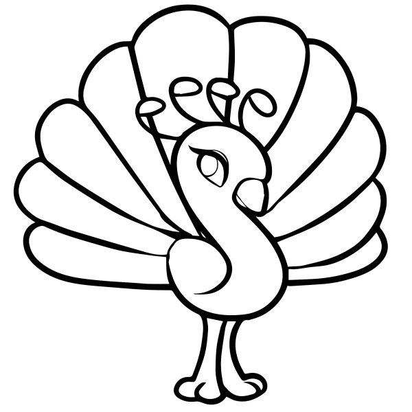 Павлин пошагово для детей