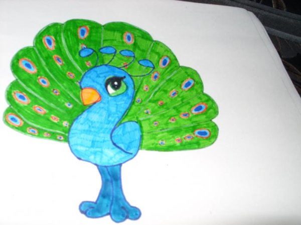 Рисунок павлина карандашом для срисовки