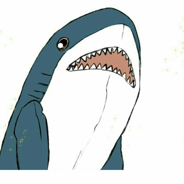 Акула из Икеи рисунок для срисовки
