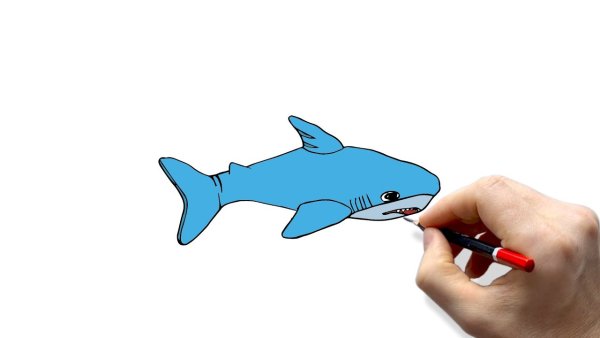 Акула из Икеи рисунок