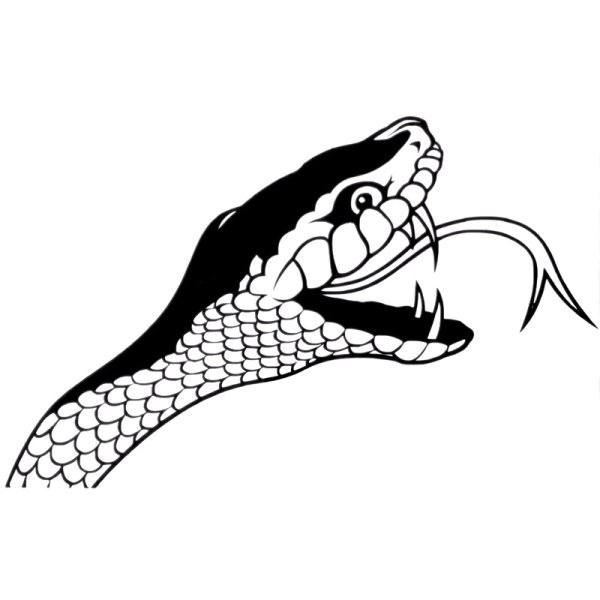 Татуировка змеи с открытой пастью