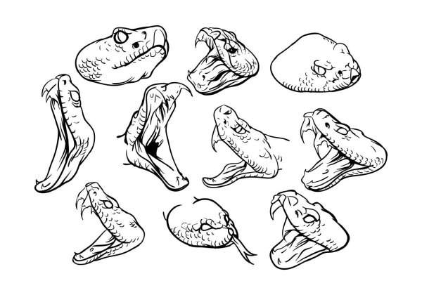 Голова змеи референсы