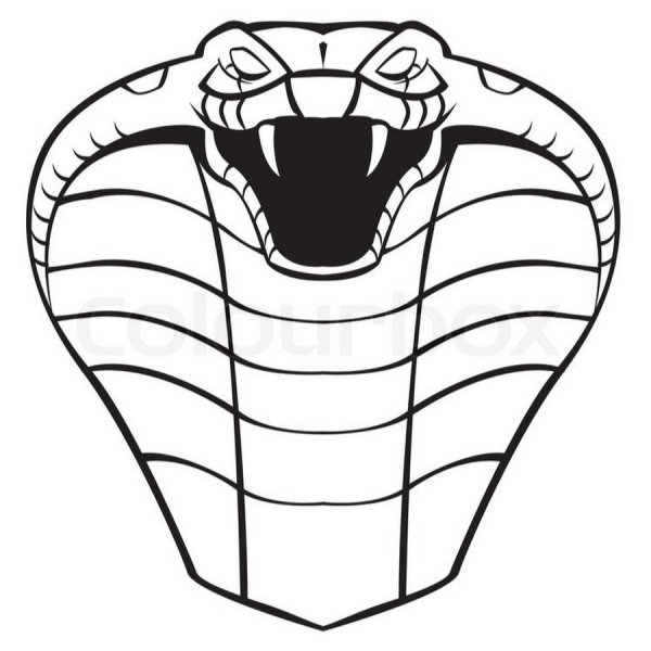 Голова змеи