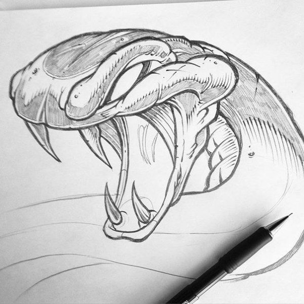 Голова змеи эскиз