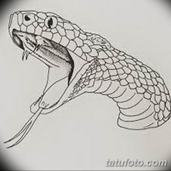 Голова змеи рисунок тату