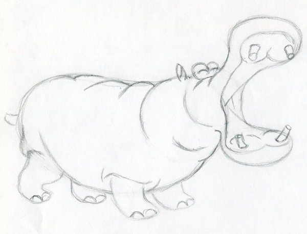 Зарисовки бегемота