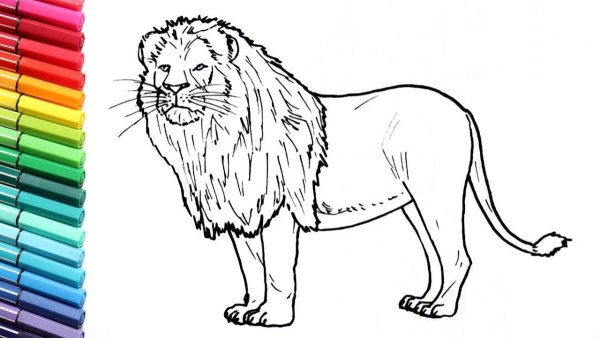 Голова Льва красками для детей