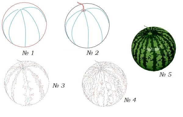 Пошаговое рисование арбуза