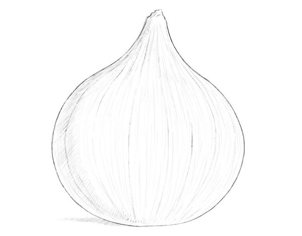 Схема посадки репчатого лука для детей