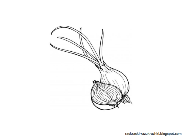 Шаблон для рисования лука для детей