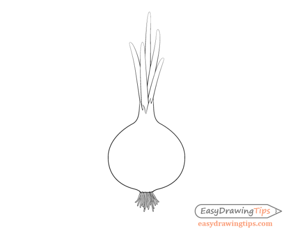 Луковица раскраска