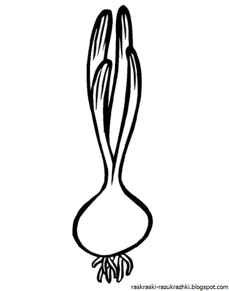 Лук рисунок черно белый