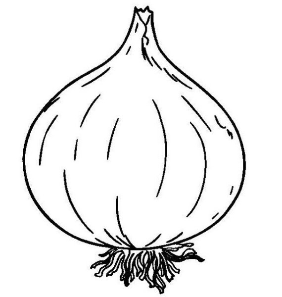 Лук раскраска для детей